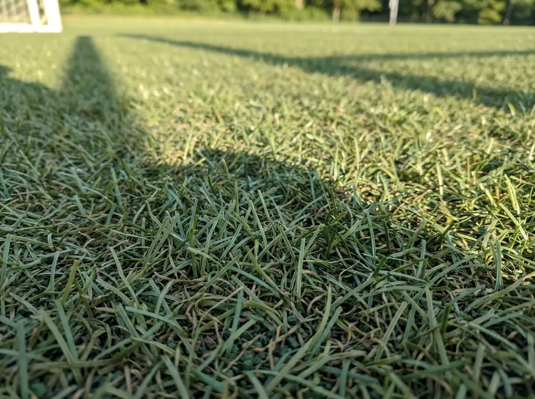 Artificial sports turf on a recreational training field