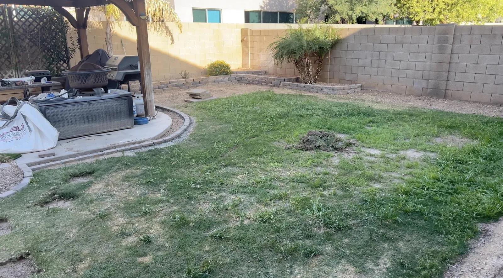 Daniel's Phoenix backyard before artificial turf: thin patchy sod, bare dirt spots, and an ant hill visible in the middle of the yard
