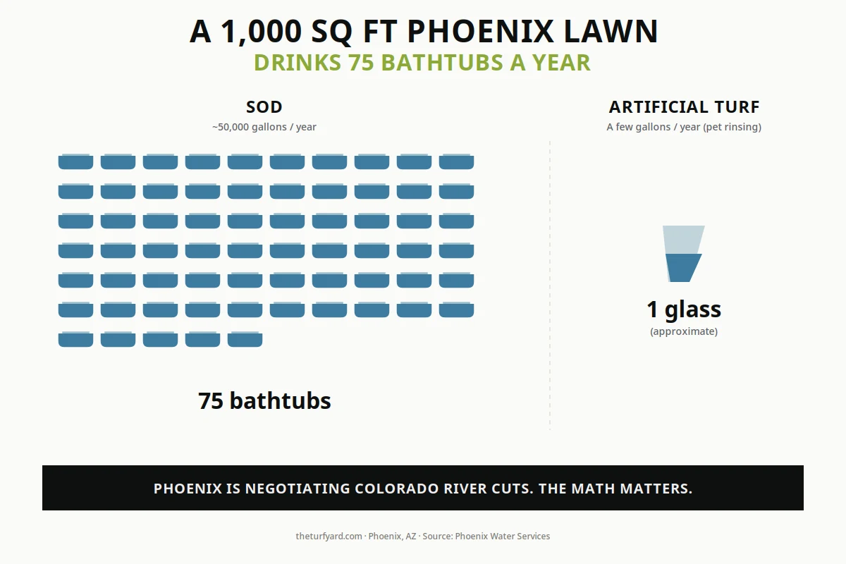 Pictorial infographic showing a Phoenix sod lawn uses 50,000 gallons of water annually compared to under 1,000 gallons for artificial turf
