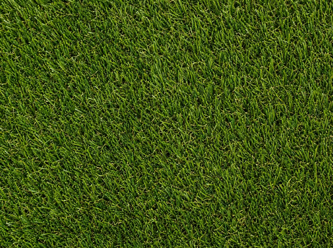 Lush 70 artificial turf in a low-maintenance residential lawn